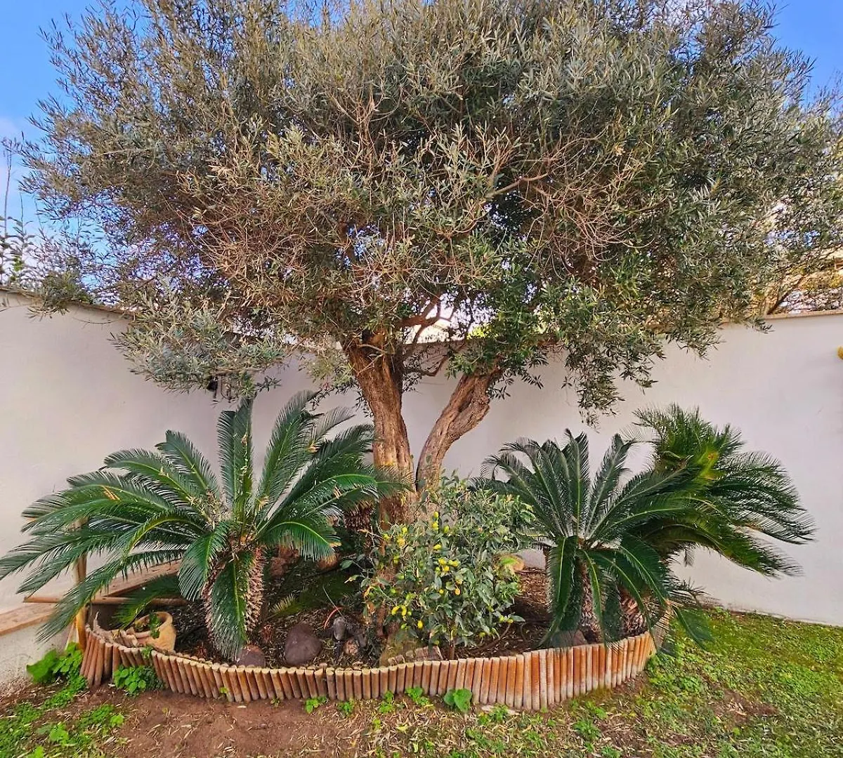 Oasi Di Greta Suite Home - Fiumicino 0*,